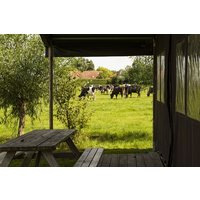 Hoeve de Betuwe in Dreumel, Niederlande Unkategorisiert online kaufen